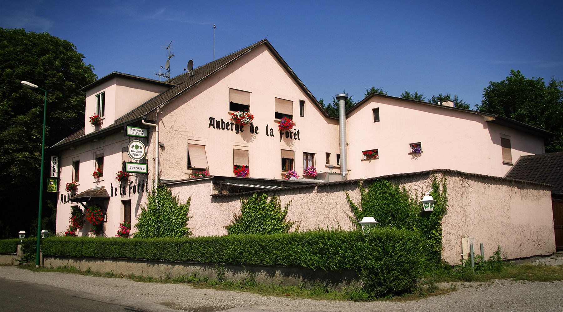 Auberge de la forêt